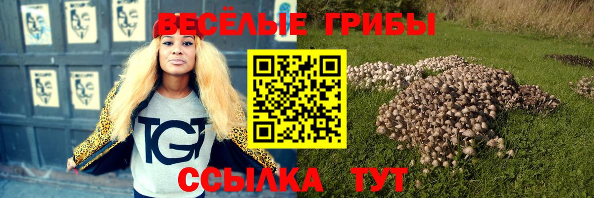 Псилоцибиновые грибы Psilocybine cubensis Черкесск