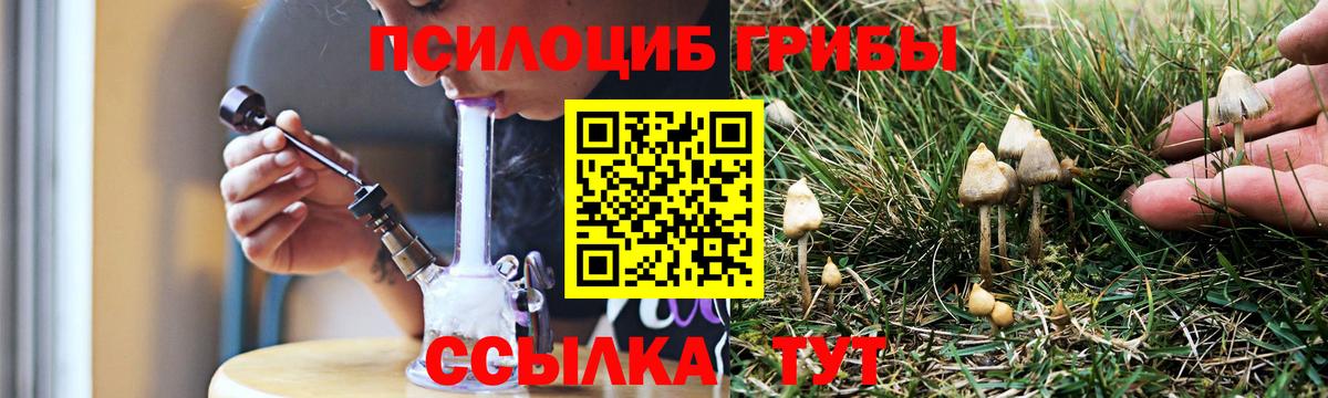 Черкесск  Псилоцибиновые грибы прущие грибы  Вход с VPN 